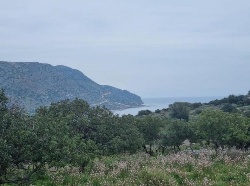 Plaka bei Elounda Kreta, Plaka Elounda: Baugrundstück mit Meerblick zu verkaufen Grundstück kaufen